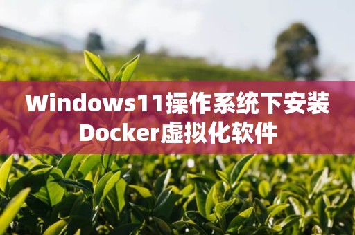 Windows11操作系统下安装Docker虚拟化软件