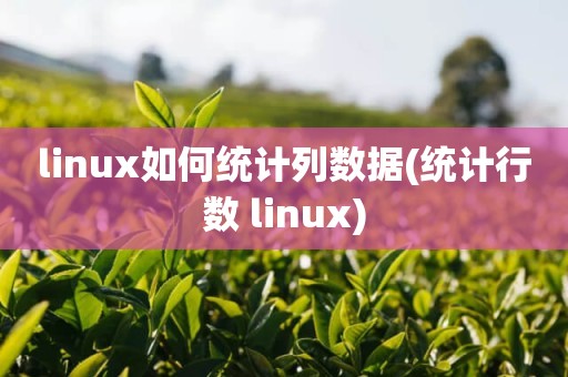 linux如何统计列数据(统计行数 linux)