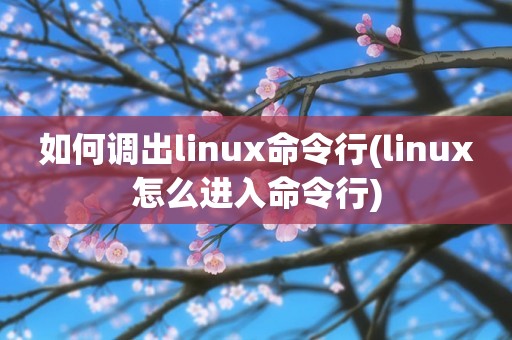 如何调出linux命令行(linux怎么进入命令行)
