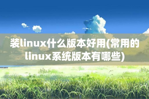 装linux什么版本好用(常用的linux系统版本有哪些)